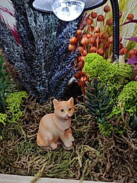 Kedi Teraryum Minyatür Obje Teraryum Malzemeleri Objeleri