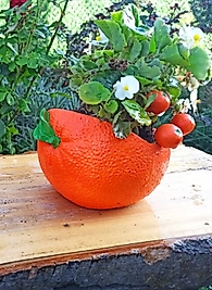 Portakal Saksı Sukulent Saksısı Kaktüs eton Saksı Dekor Saksı Orkide Bahçe Çiçek Saksı