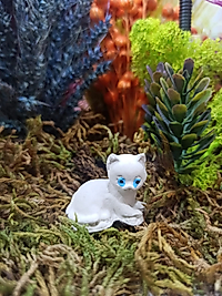 2 Adet Kedi Teraryum Obje Minyatür Obje Teraryum Aksesuar Teraryum Süsü