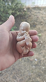 Battaniye Sarılmış Bebek 1 Adet Teraryum Obje Minyatür Obje Figür Aksesuar Teraryum Malzemeleri