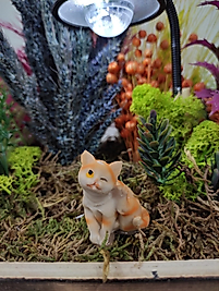 Kedi Teraryum Minyatür Obje Teraryum Malzemeleri Objeleri